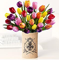 30 Multi-Colored Tulips